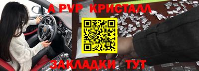 гашик Донецк
