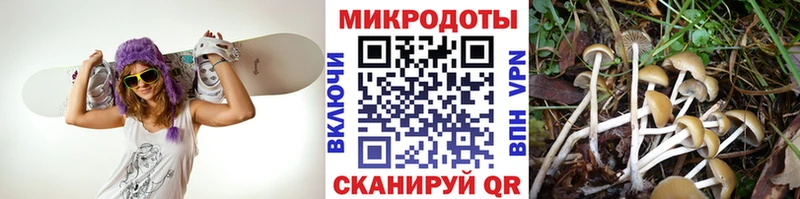 где продают наркотики Краснокаменск Псилоцибиновые грибы ЛСД