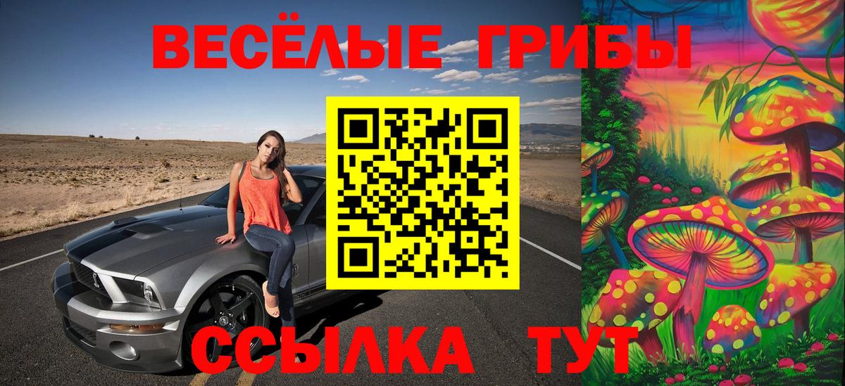 Галлюциногенные грибы Psilocybine cubensis Краснокаменск